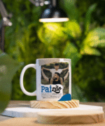 Coleção Paizão 2025 - Avião Sem Asa - Imagem 14