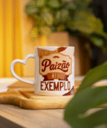 Coleção Paizão 2025 - Avião Sem Asa