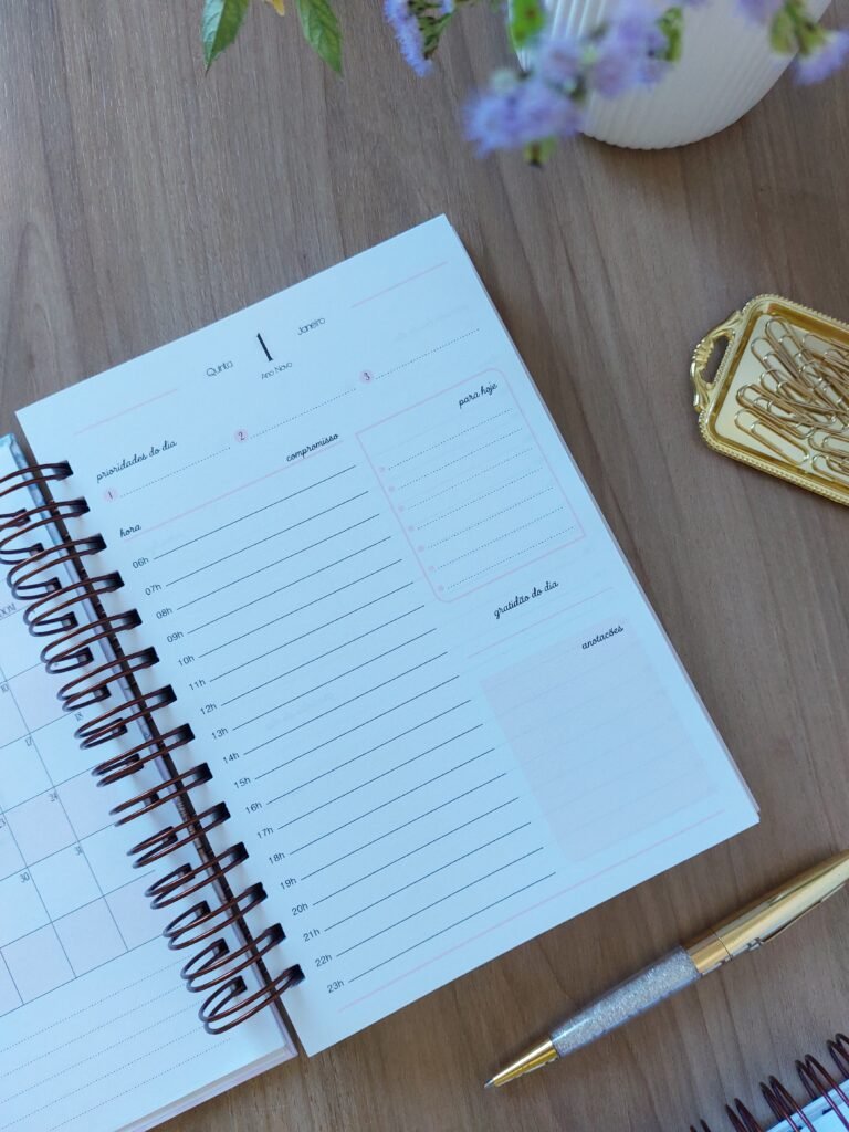 Agenda 1Dpp Rosa