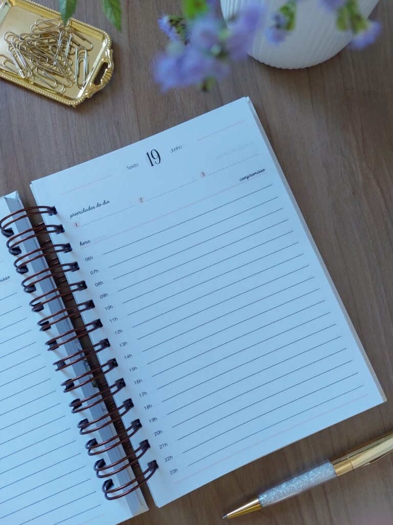 Agenda 1Dpp sem observação