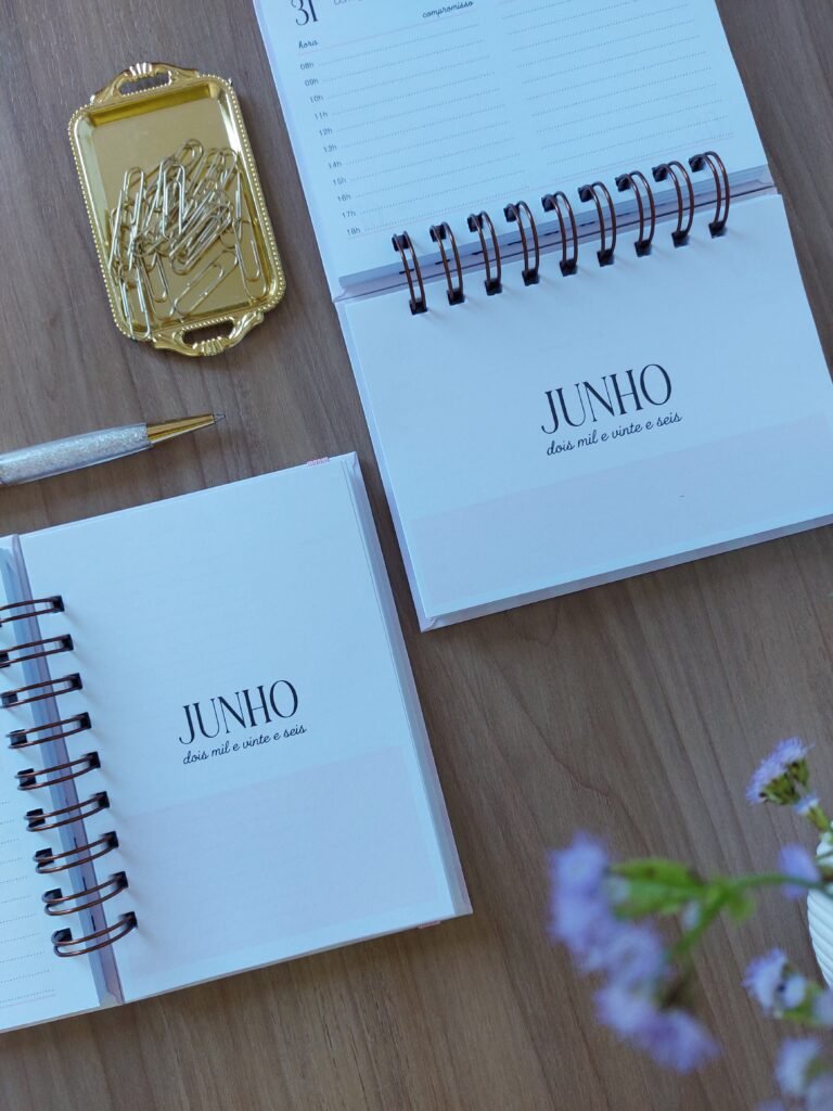Divisória mensal mini agenda