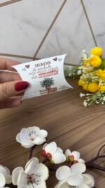 Coleção Dia dos Professores 2025 - Madi - Imagem 22