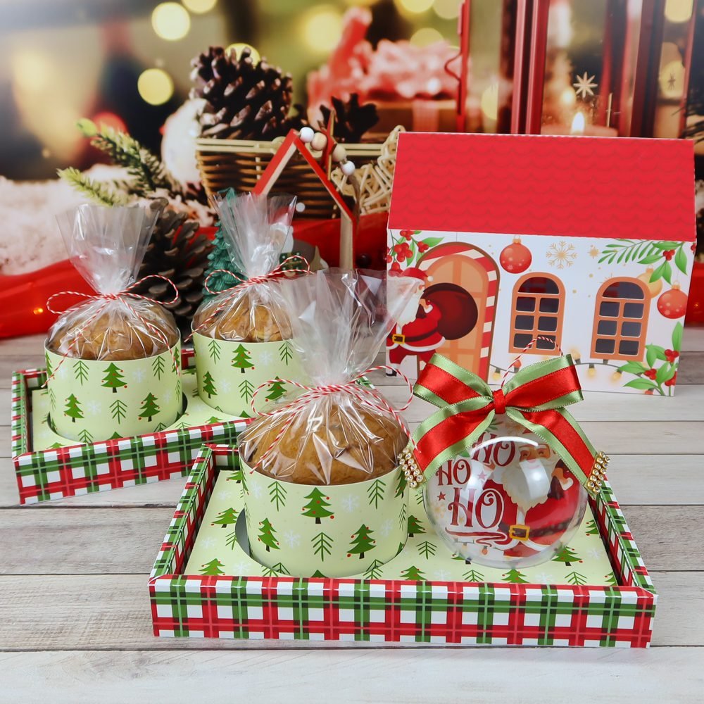 05-Caixas-Casinhas-para-Panetones-80g-CP-1