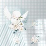 Kit Digital Divino Espírito Santo 2 (Versão para Batizado e 1ª Eucaristia) - Santinhos