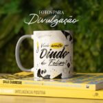 Coleção - Dindos (Avião sem Asa) - Imagem 5