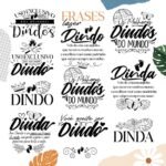 Coleção - Dindos (Avião sem Asa) - Imagem 3