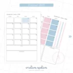 Planner 2025 Azul e Rosa (Criativa Afetiva) - Imagem 11