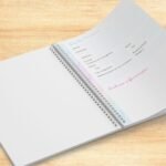 Planner Controle Financeiro 2023 + Capas - Imagem 2