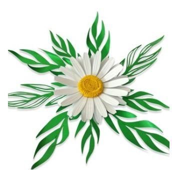 280362512_724004998787886_86565686265726730_n-1.jpg Molde Flor Margarida + Folhagem - Imagem 1