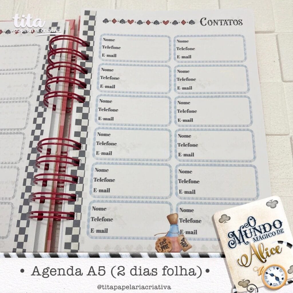 287977456_747894659732253_2285833070962734137_n-scaled Combo Encadernação Alice - O mundo Mágico - Imagem 8