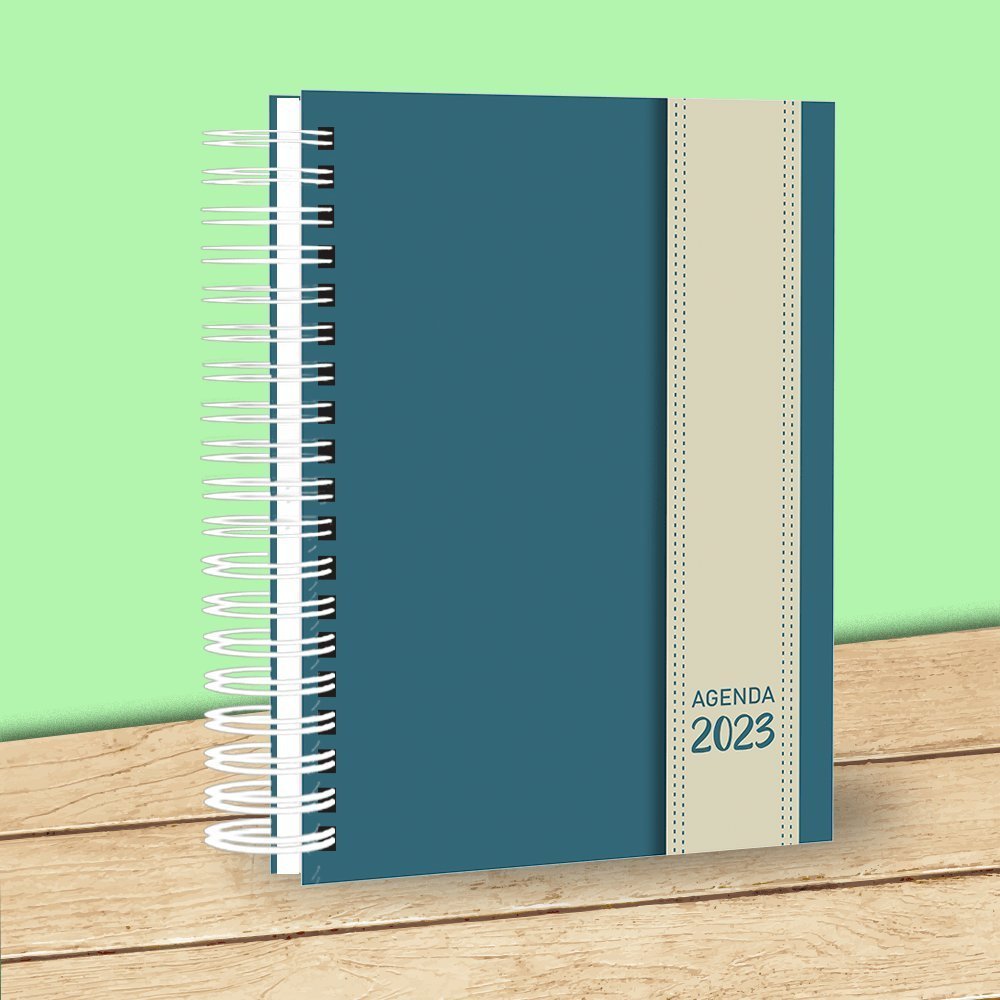 320780259_1012904416766806_3639623354494894930_n.jpg COLEÇÃO - Tô Chegando! Agendas 2023 - Imagem 17