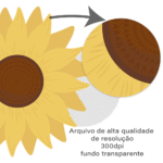 Jardim dos Girassois - Kit Digital (Tutti Studio) - Imagem 2