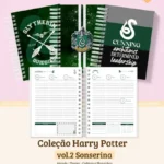 Coleção Harry Potter vol.2 - Sonserina (BM Arquivos)