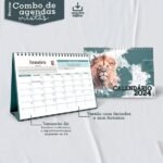 Combo Agendas Neutras - Coleção Cristã - 1DPP | 2DPP | 3DPP | 4DPP - Imagem 2