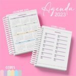 Combo Miolos Agendas 2023 e Permanente - Imagem 6