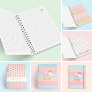 Kit Cadernos de Anotações + Brindes