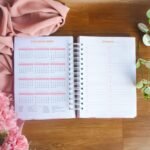 Combo Col. Caramelo – Agendas DATADAS 2024 A5 | 30 miolos + Capas (Amarantto) - Imagem 5