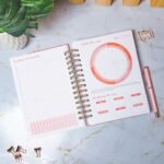 Combo Planner 2023 + Permanente Não Datado A5 – Amarantto - Imagem 12