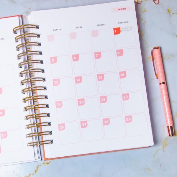 Combo Planner 2023 + Permanente Não Datado A5 – Amarantto - Imagem 13