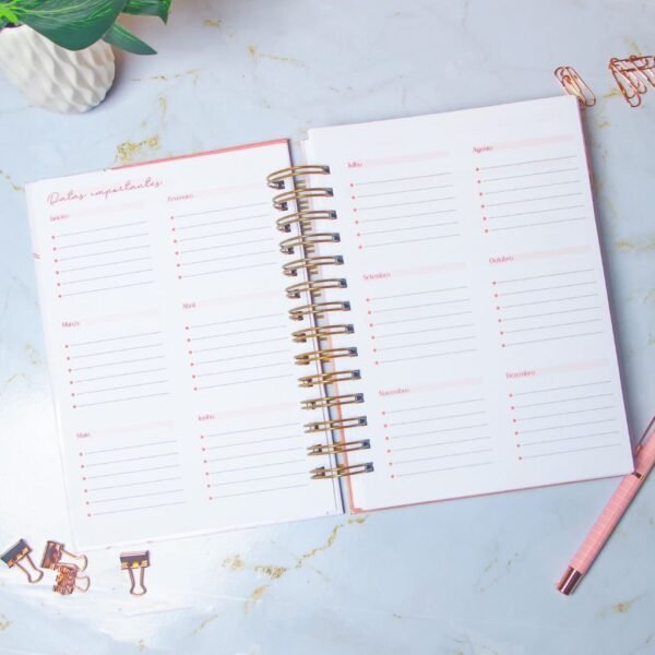 Combo Planner 2023 + Permanente Não Datado A5 – Amarantto - Imagem 3