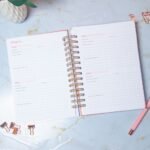 Combo Planner 2023 + Permanente Não Datado A5 – Amarantto - Imagem 5