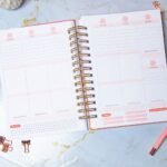 Combo Planner 2023 + Permanente Não Datado A5 – Amarantto - Imagem 7