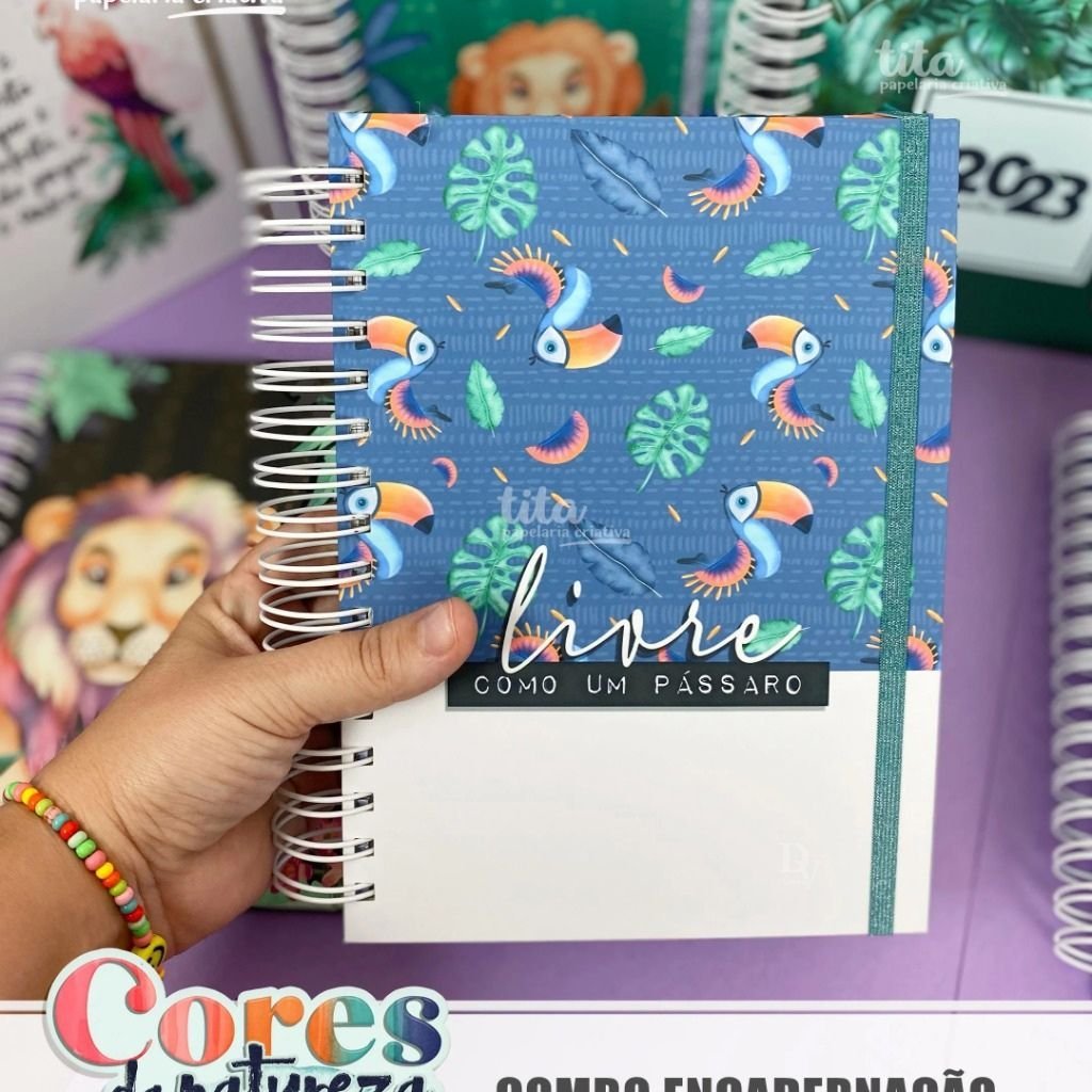 Combao-Tita-5 Combão Cores da Natureza - Encadernação 2023 e Permanente - Imagem 5