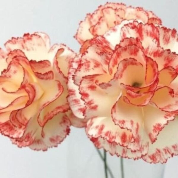 20 Moldes p/ Flores - Imagem 20