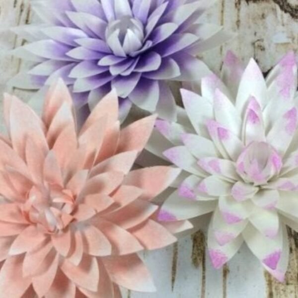 20 Moldes p/ Flores - Imagem 6