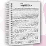 Combo Cadernetas da Gestante - Imagem 13