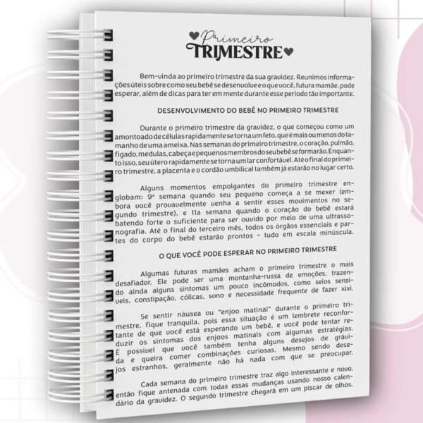 Combo Cadernetas da Gestante - Imagem 13