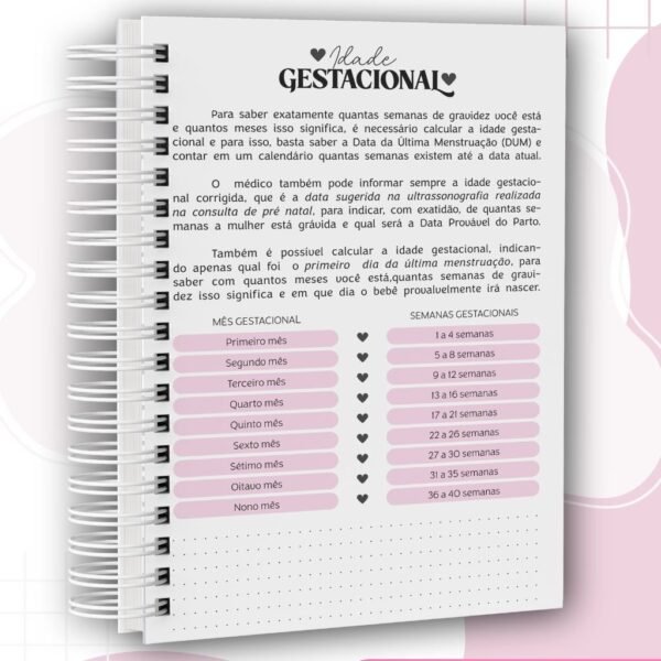 Combo Cadernetas da Gestante - Imagem 11