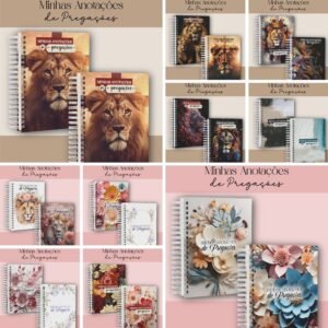 Coleção Minhas Anotações de Pregações (Dream Arts)