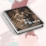 Combo Capas para Biblias e Devocional + Brindes Miolo Devocional Católico e Evangélico - Imagem 18