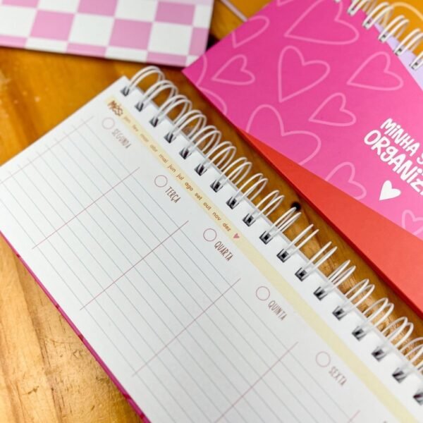 COMBO - Planejadores | Calendários + Brindes - Imagem 15