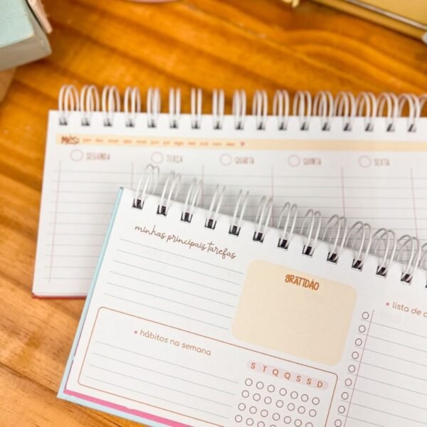 COMBO - Planejadores | Calendários + Brindes - Imagem 20