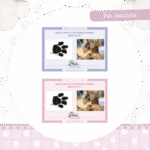 2 Combos Pet Gatinha | Gatinho - Encadernação (Pamella) - Imagem 12