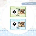 2 Combos Pet Gatinha | Gatinho - Encadernação (Pamella) - Imagem 24
