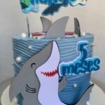 Tubarão - Topo de Bolo