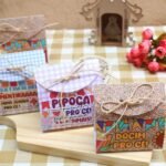 Mini Kit 1 - Festa Junina 2023 - Imagem 2