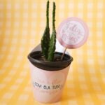 Kit Digital + Mimos - Mãe Inspiração - Imagem 14