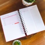 Combo Planner 2024 + Permanente Não Datado A5 – Col. Vagalume - Imagem 38