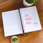 Combo Planner 2024 + Permanente Não Datado A5 – Col. Vagalume - Imagem 36