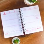 Combo Planner 2024 + Permanente Não Datado A5 – Col. Vagalume - Imagem 32