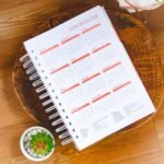 Combo Planner 2024 + Permanente Não Datado A5 – Col. Vagalume - Imagem 35