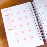 Combo Planner 2024 + Permanente Não Datado A5 – Col. Vagalume - Imagem 33