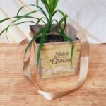 Cesta para plantas - Dia dos Avós