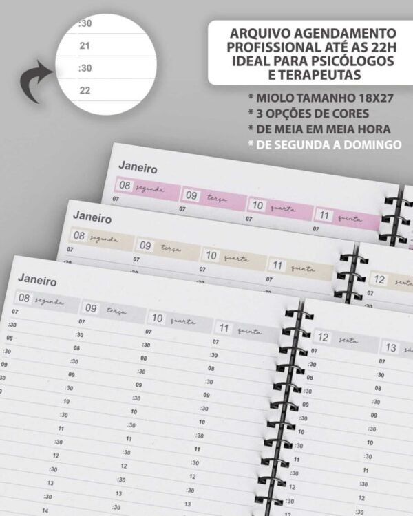 Kit Agendamento Semanal 2024 tamanho 18×27 até 22h - Psicólogos e Terapeutas (Bicho Papel) - Imagem 1