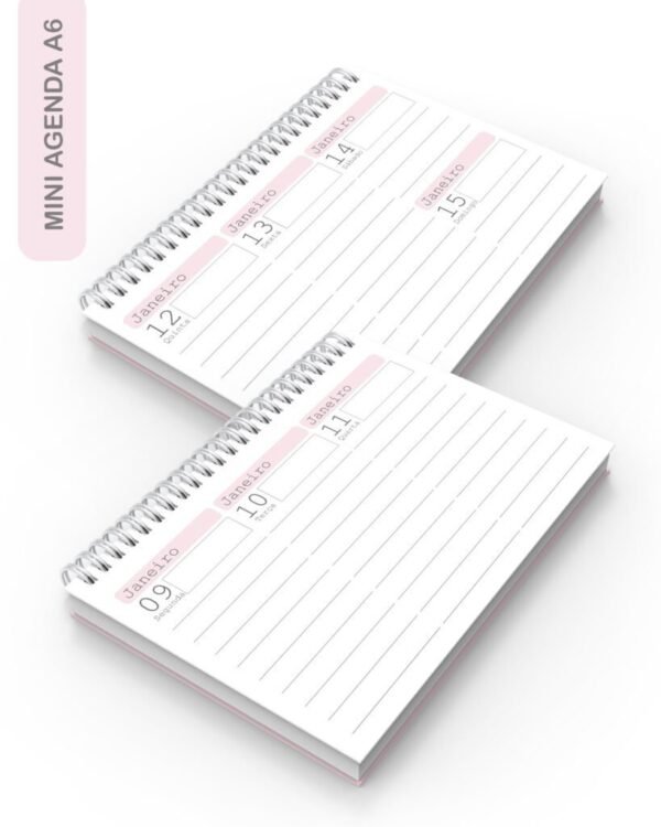 Combo Mini Agenda A6 2024 com 2DPP e 3DPP (Bicho Papel) - Imagem 2