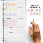 Miolo Planner 2024 Colors (Bicho Papel)